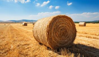 AI generated Agriculture beauty in nature yellow meadow, rolled up haystacks generated by AI photo