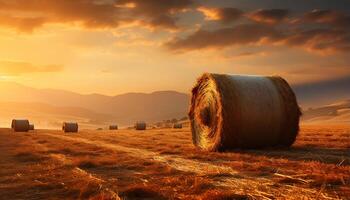 ai generado rural escena puesta de sol prado, al aire libre, verano paisaje, cosecha trigo generado por ai foto
