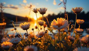 AI generated Vibrant sunset sky illuminates meadow of wildflowers in rural landscape generated by AI photo