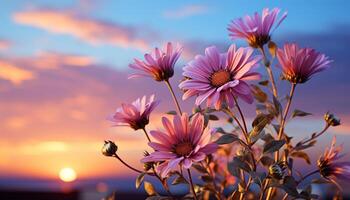 ai generado vibrante prado flores en el atardecer, naturaleza vistoso obra maestra generado por ai foto