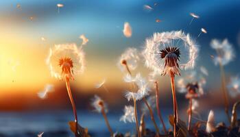 AI generated Sunset over meadow, wildflowers bloom in nature tranquil beauty generated by AI photo