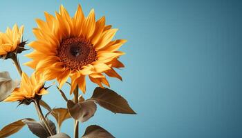 ai generado amarillo girasol, vibrante pétalos, naturaleza belleza en un soltero flor generado por ai foto