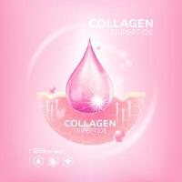 Collagen tripeptide Serum Skin Care Cosmetic vector