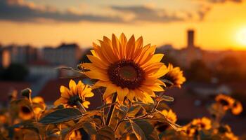 ai generado girasol en naturaleza, al aire libre, puesta de sol amarillo verano girasol belleza generado por ai foto
