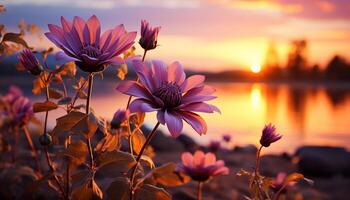 AI generated A vibrant meadow of colorful flowers in the summer sunset generated by AI photo