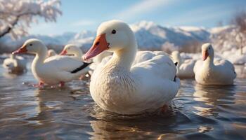 AI generated Duckling waddling on pond, reflecting nature beauty in summer generated by AI photo