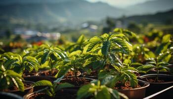 AI generated Fresh green leaves grow in nature, a symbol of growth generated by AI photo