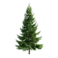 AI generated green pine trees on a transparent background png