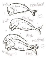 Mackerel fish vector line art illustration