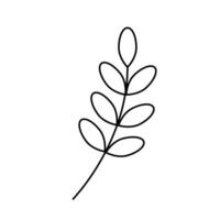 Doodle twig with leaves. Vector linear illustration.