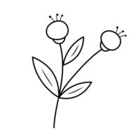 Doodle twig with berries. Vector linear illustration.
