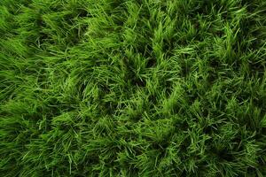 AI generated Photo Natures palette Abstract top view of green grass texture
