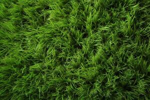 AI generated Photo Natures palette Abstract top view of green grass texture