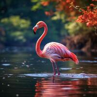 AI generated Flamingo serenity Pink flamingo in a close up water scene For Social Media Post Size photo