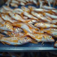 AI generated Food processing Small fish undergoing the drying stage For Social Media Post Size photo