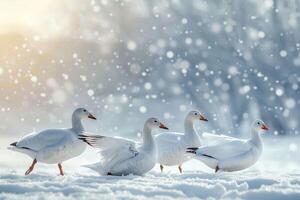 AI generated Winter harmony Snow geese on snowy background with empty space photo