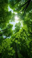 ai generado verde pabellón ver de bosque arboles desde abajo dentro el cielo vertical móvil fondo de pantalla foto