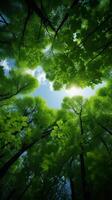 AI generated Green canopy View of forest trees from below into the sky Vertical Mobile Wallpaper photo