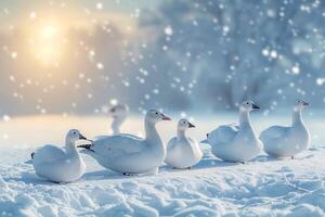 ai generado invierno armonía nieve gansos en Nevado antecedentes con vacío espacio foto