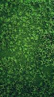 AI generated Background Top view of a fresh green lawn, 3D rendering Vertical Mobile Wallpaper photo