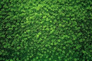 AI generated Background Top view of a fresh green lawn, 3D rendering photo