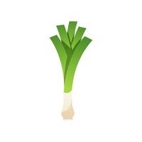 Leek vector isolated on white background.