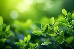 AI generated Natures serenity Fresh green leaves with bokeh on blurred background photo