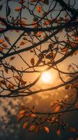 ai generado iluminado por el sol árbol ramas silueta, un sereno otoño atmósfera capturado vertical móvil fondo de pantalla foto