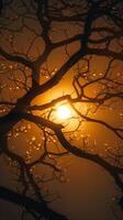 AI generated view Sunlit tree branches in autumn silhouette, creating a tranquil image Vertical Mobile Wallpaper photo