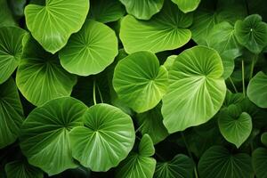 AI generated Botanical abundance Repeated pattern of vibrant green leaves background photo