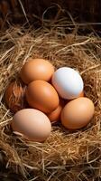 AI generated Nestled treasures Fresh chicken eggs arranged in a rustic nest Vertical Mobile Wallpaper photo