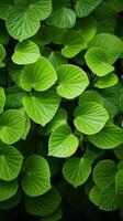 ai generado frondoso repetición verde hojas antecedentes en un visualmente agradable arreglo vertical móvil fondo de pantalla foto