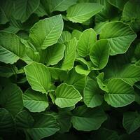 AI generated Botanical abundance Repeated pattern of vibrant green leaves background For Social Media Post Size photo