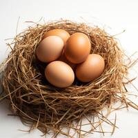 AI generated Egg nest harmony Pile of brown eggs nested in a nest For Social Media Post Size photo