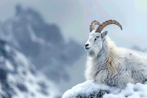 AI generated Majestic presence Mountain goat in the snow, space for text photo