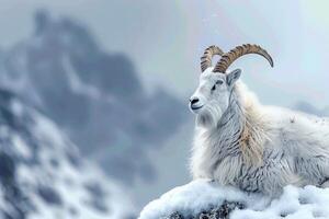 AI generated Majestic presence Mountain goat in the snow, space for text photo