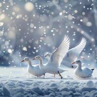 AI generated Winter harmony Snow geese on snowy background with empty space For Social Media Post Size photo