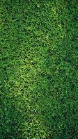 AI generated Photo Top view of lush green lawn for sports fields or gardens Vertical Mobile Wallpaper