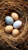 AI generated Natural abundance A nest holds a pile of fresh eggs Vertical Mobile Wallpaper photo