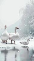 AI generated Snowy congregation Snow geese gather on a snow covered background Vertical Mobile Wallpaper photo