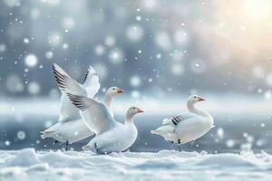 AI generated Winter tableau Snow geese on a snow covered background with space photo