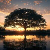 ai generado arboles por agua a amanecer, grande árbol en contra creciente cielo para social medios de comunicación enviar Talla foto