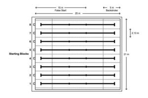 25 metros estándar nadando piscina ocho carril diseño dimensiones contorno estilo vector