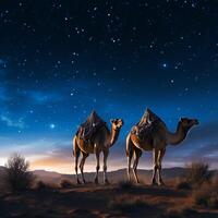 AI generated Evening journey Two camels against a captivating starry sky backdrop For Social Media Post Size photo