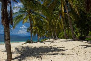 Amazing tropical beach in Philippines photo