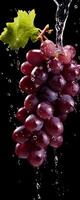 AI generated This tall photo captures the graceful freefall of glistening grapes and water, their succulent forms suspended in midair, on a black background showcasing the dynamic beauty of nature