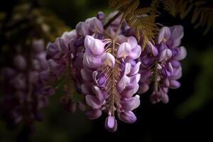 ai generado glicina - glicina - flor nativo a China y Japón - conocido para su largo, arrastrando racimos de fragante floraciones y suave pastel colores, incluso sombras de lavanda y rosado foto