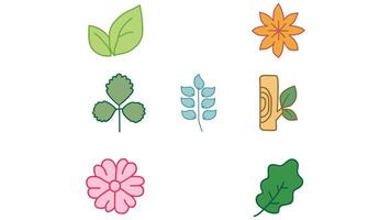 Natural leaves and trees design  vector icons isolated illustration