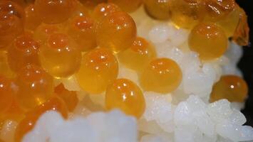 Close up of sashimi salmon roe with rice bowl or donburi in Japanese style food. photo