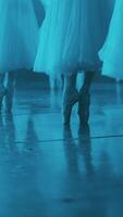 vertikal formatera närbild av ballerinor ben dans graciös klassisk prestanda på skede. fötter i strålkastare silhuett. professionell konsert av balett för de telefon. video